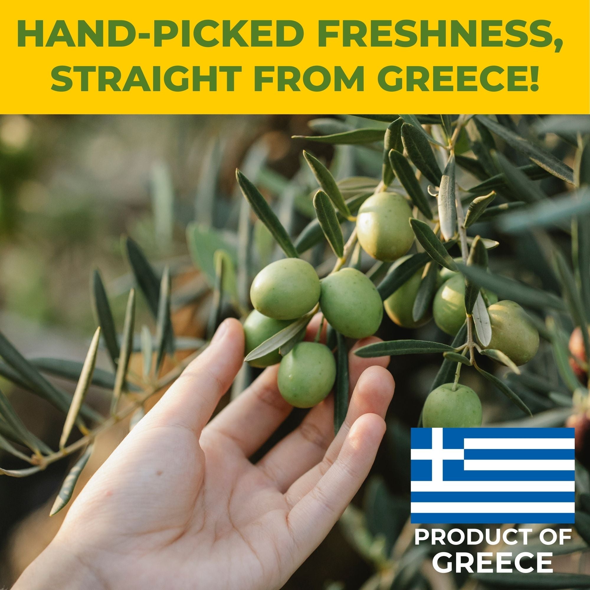 Entsteinte griechische Oliven