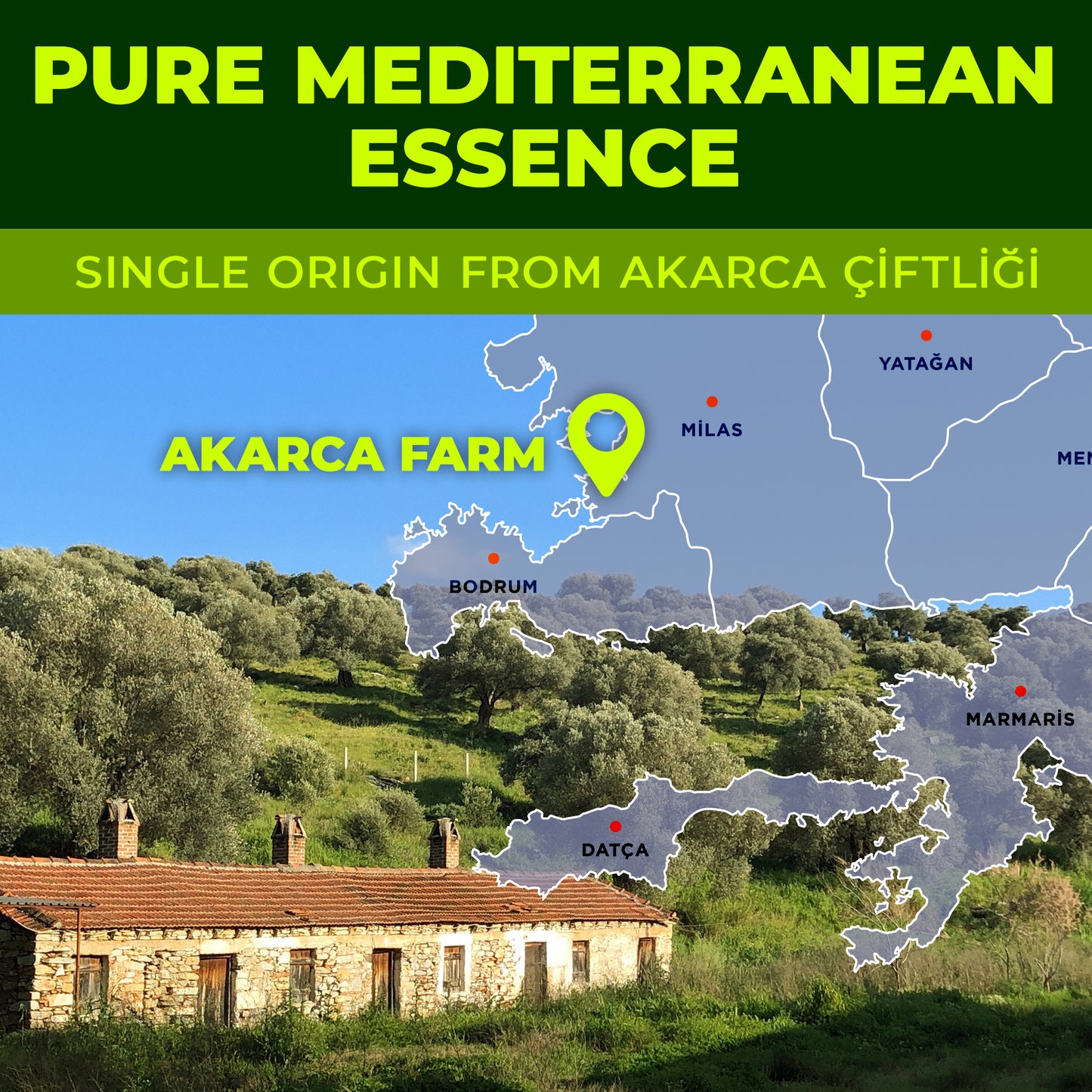 Polyphenol Rich Olive Oil Extra Virgin