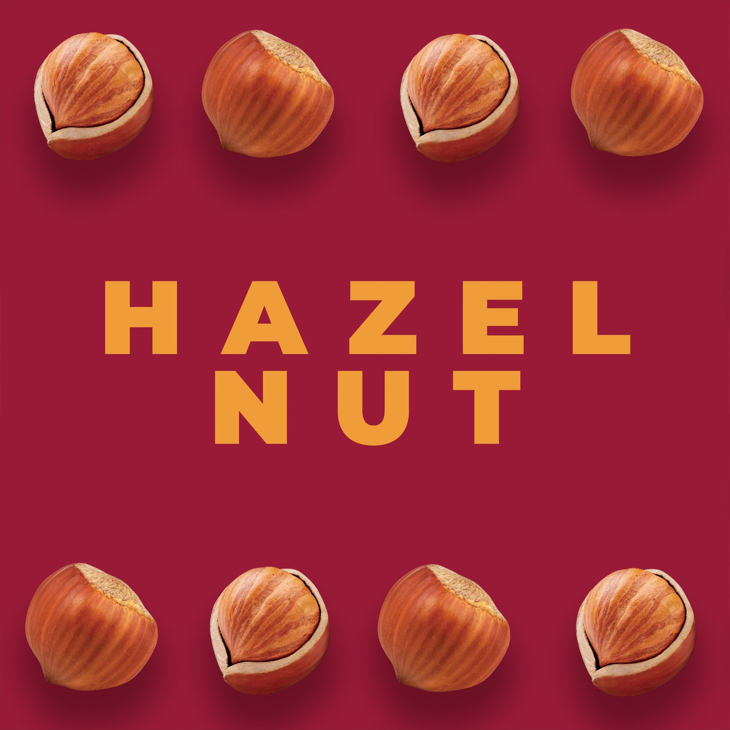 Fruit & Nut Leather - Hazelnut